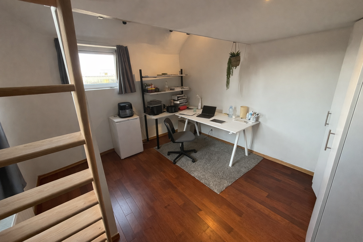 Website
